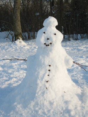 Schneemann1